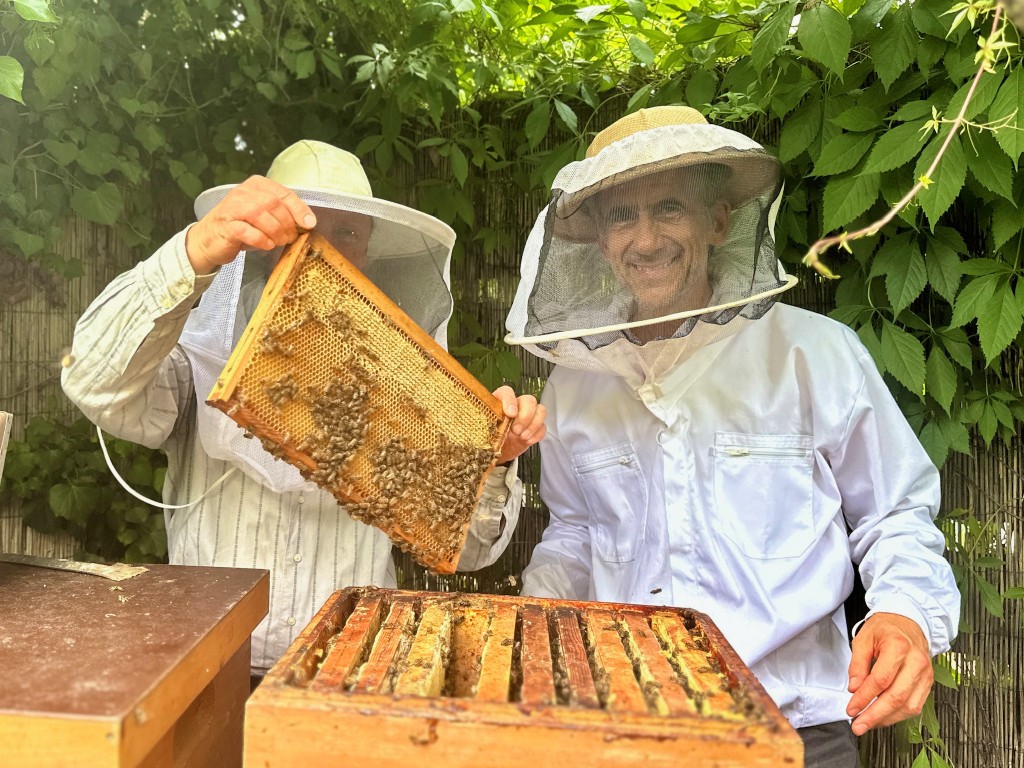 Two people in beekeeping clothes holding a frame of bees.