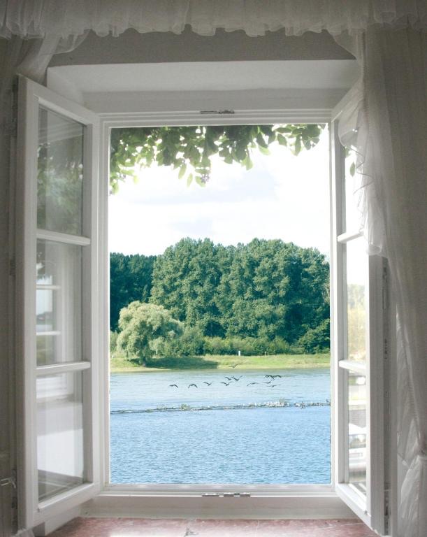 River view room — the Rhine from the window