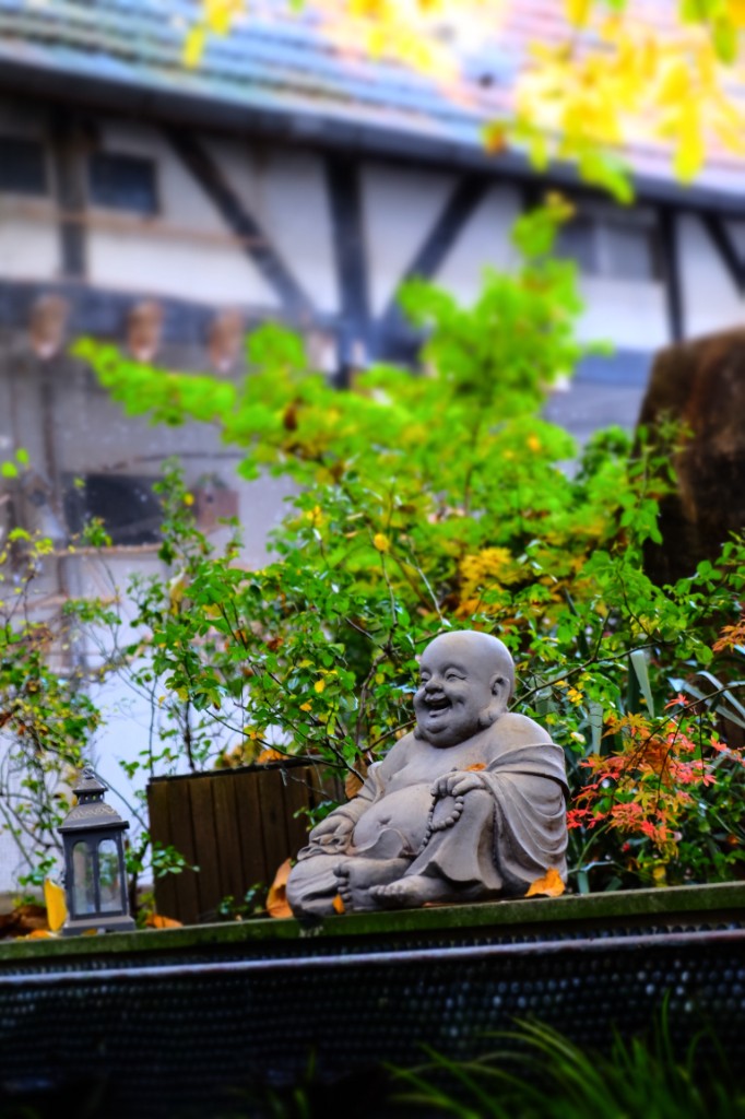 Der Buddha im Garten, mit einer Taube. Ein lachender Buddha im Garten des Yoga Hotels am Rhein.