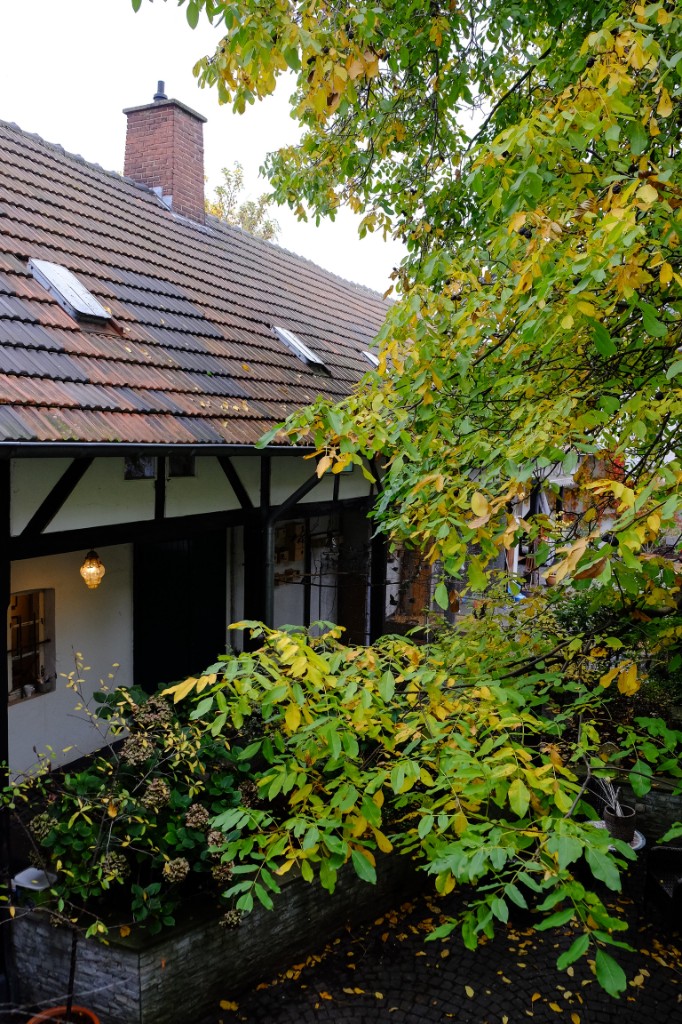 Der Innenhof im Herbst. Der Innenhof im Herbst im Yoga Hotel zwischen Köln und Düsseldorf.
