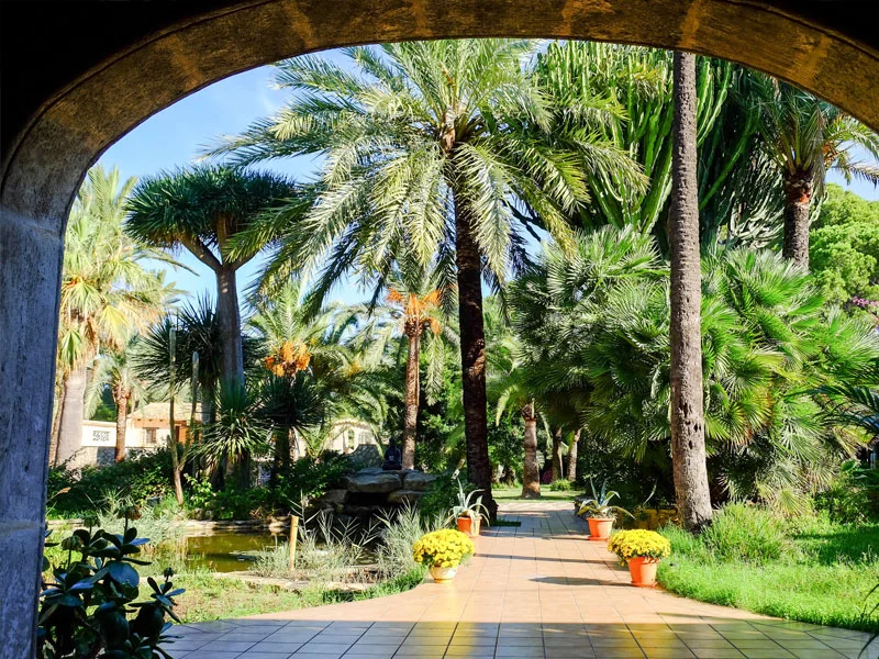 Der Palmengarten der Open Sky Oasis in Dénia.